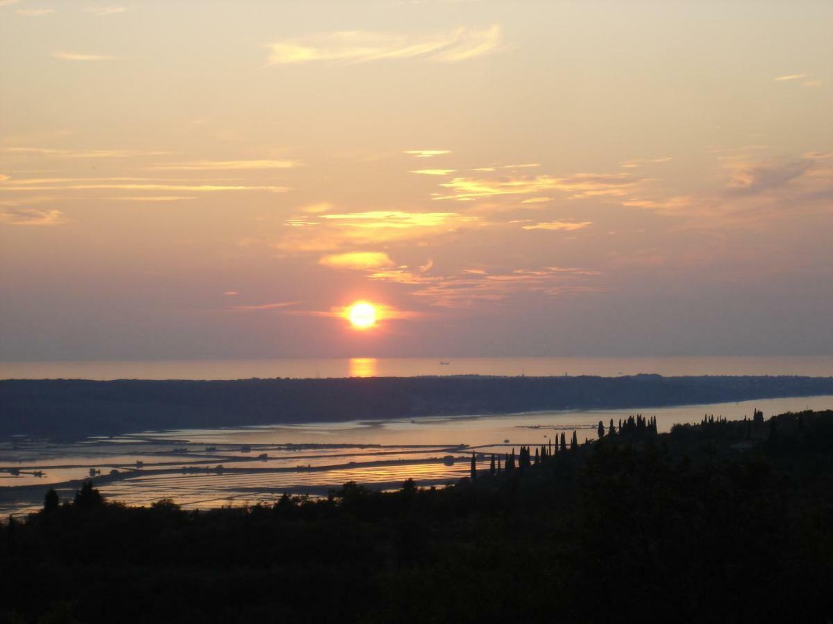 Apartma Medosi Izola Exteriér fotografie